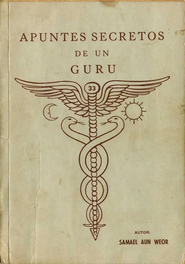 Cover of Apuntes Secretos de un Gurú