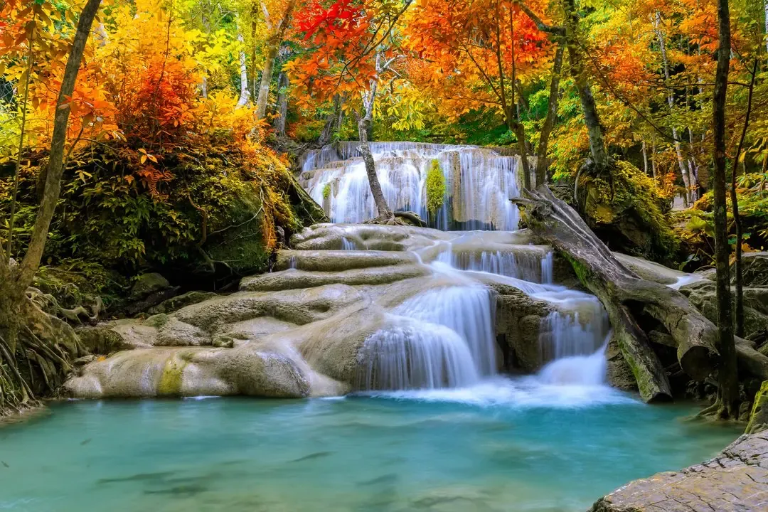 La Presencia Divina en la Naturaleza